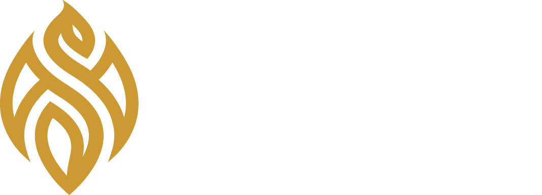 Brichetino.ro